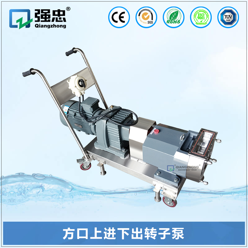 方口上進(jìn)下出轉(zhuǎn)子泵 方口上進(jìn)下出轉(zhuǎn)子泵